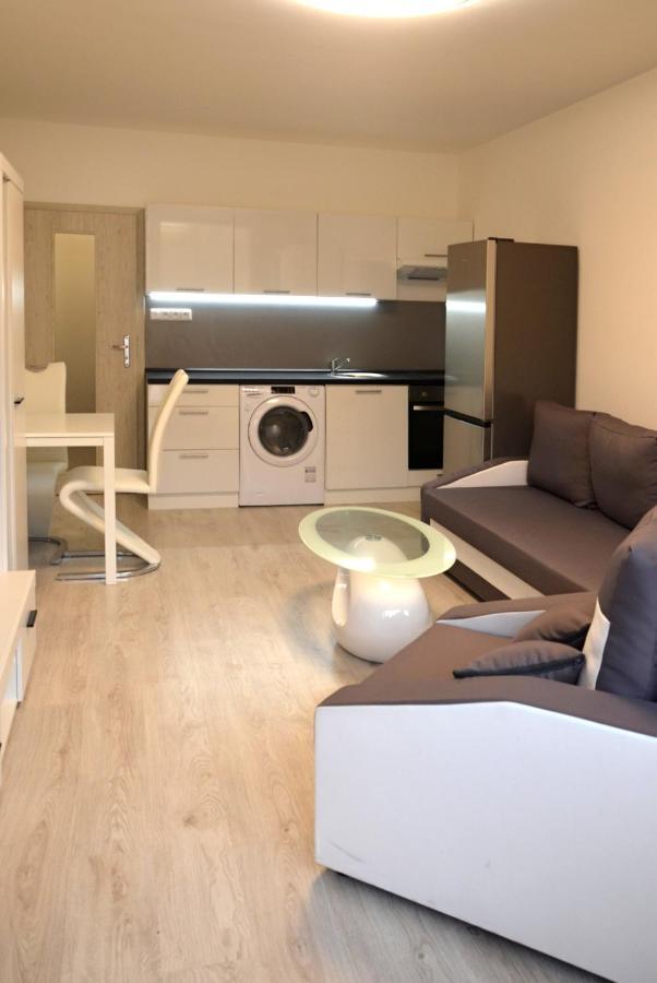 Utulny Apartman V Centru, S Krasnym Vyhledem Decin Exteriör bild