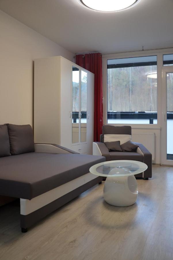 Utulny Apartman V Centru, S Krasnym Vyhledem Decin Exteriör bild