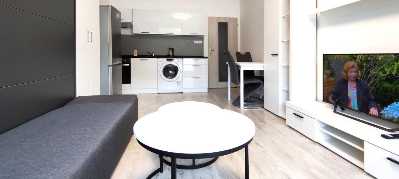 Utulny Apartman V Centru, S Krasnym Vyhledem Decin Exteriör bild