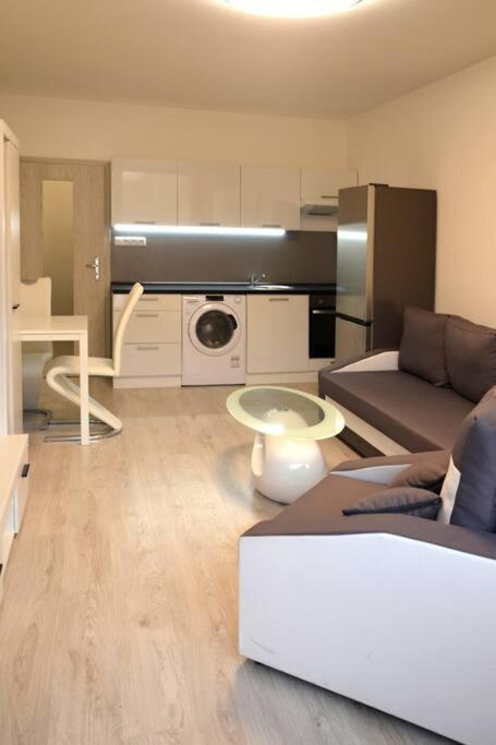 Utulny Apartman V Centru, S Krasnym Vyhledem Decin Exteriör bild