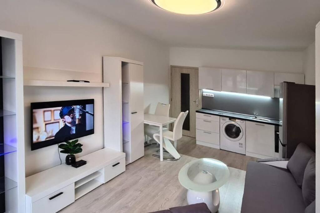 Utulny Apartman V Centru, S Krasnym Vyhledem Decin Exteriör bild